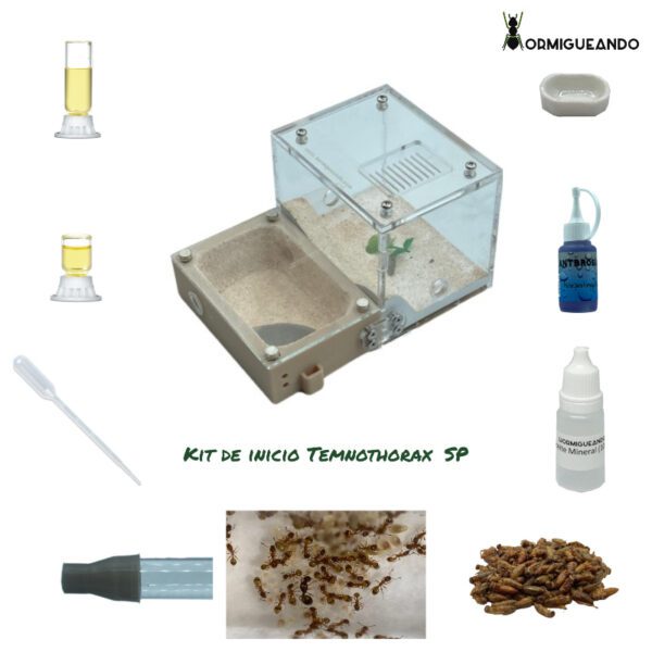 Kit Inicio 3d Temnothorax