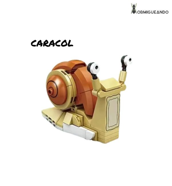 Bloques_Caracol