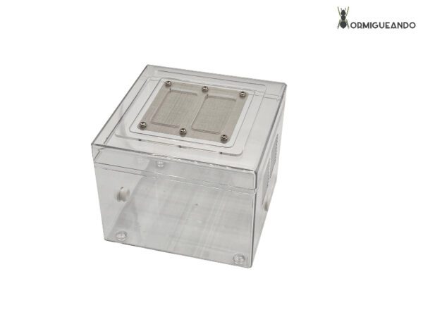 Antbox 15x15x12