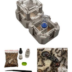 Kit Nestrix Messor Start