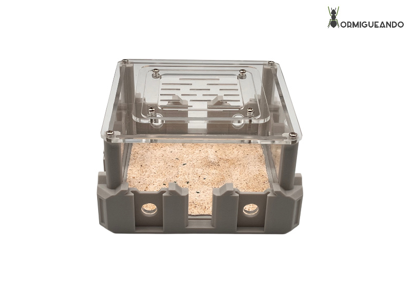 Nestrix Arena Maxi - Imagen 3