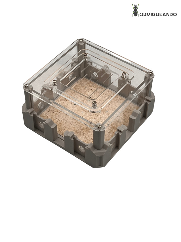 Nestrix Arena Maxi - Imagen 2