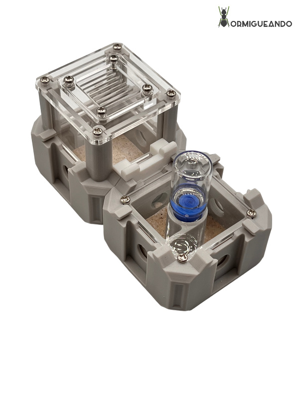 Nestrix Set Foundation