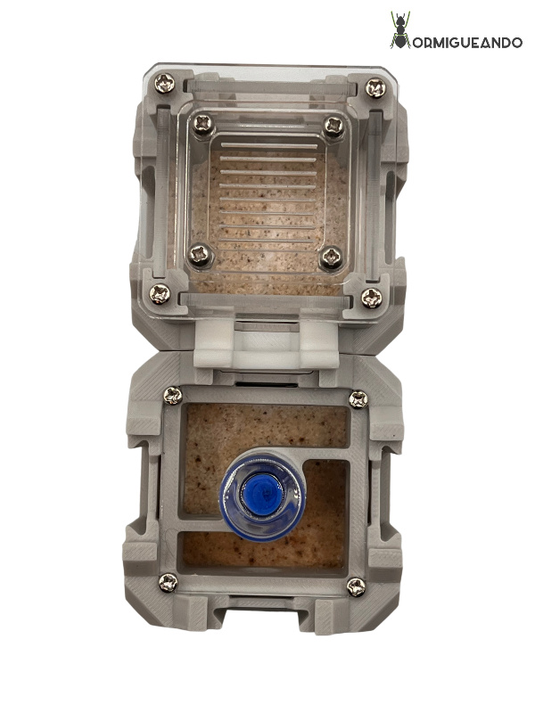 Nestrix SET FOUNDATION - Imagen 3