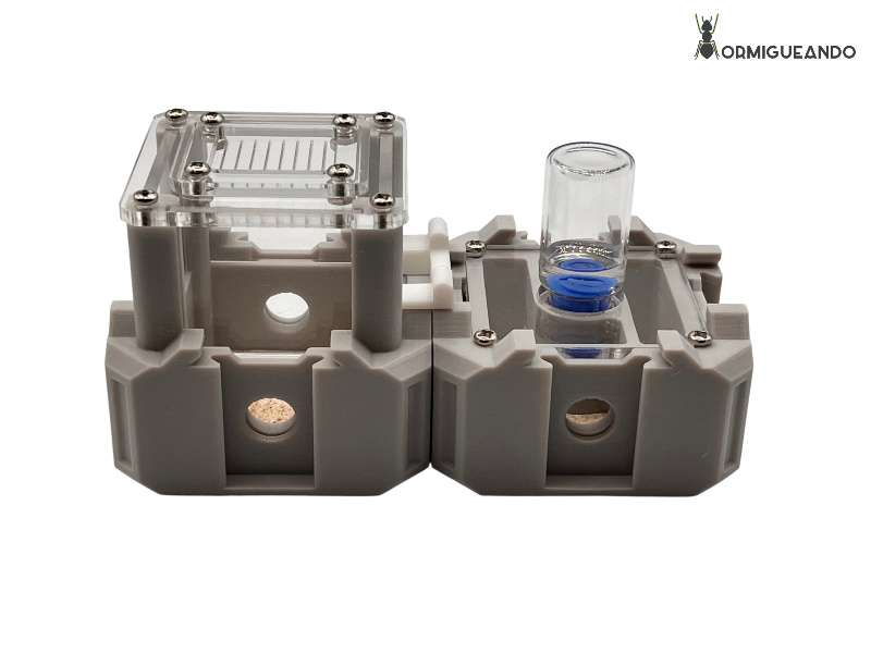 Nestrix SET FOUNDATION - Imagen 4