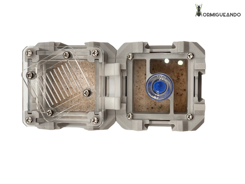 Nestrix SET FOUNDATION - Imagen 5