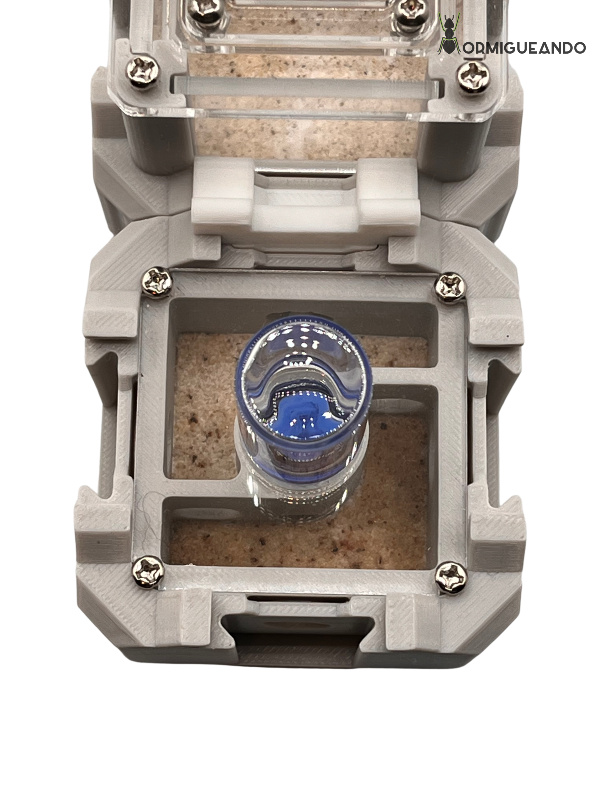 Nestrix SET FOUNDATION - Imagen 6