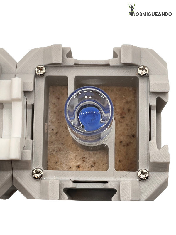 Nestrix SET FOUNDATION - Imagen 7