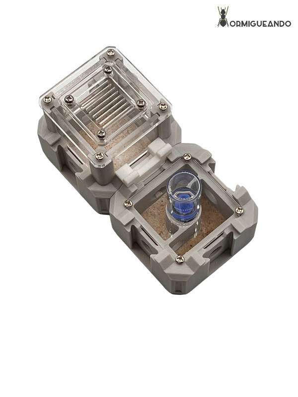 Nestrix SET FOUNDATION - Imagen 8