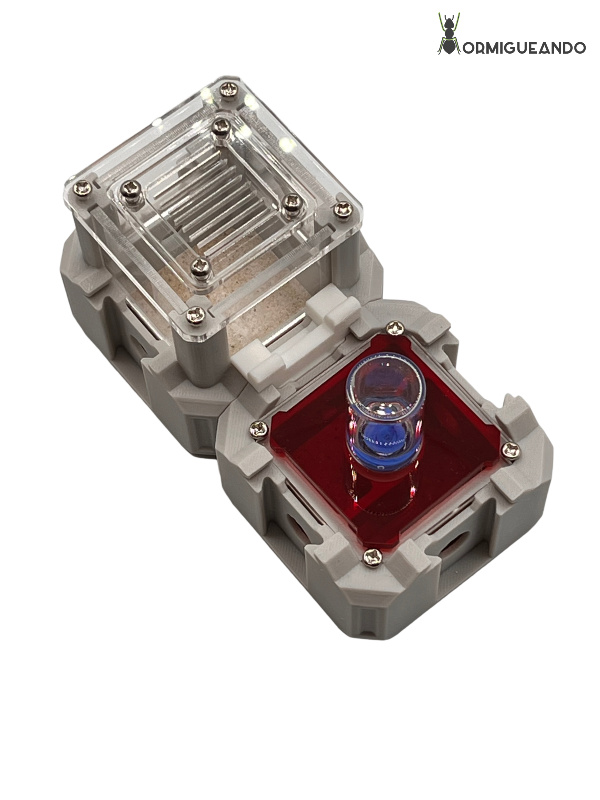 Nestrix SET FOUNDATION - Imagen 9